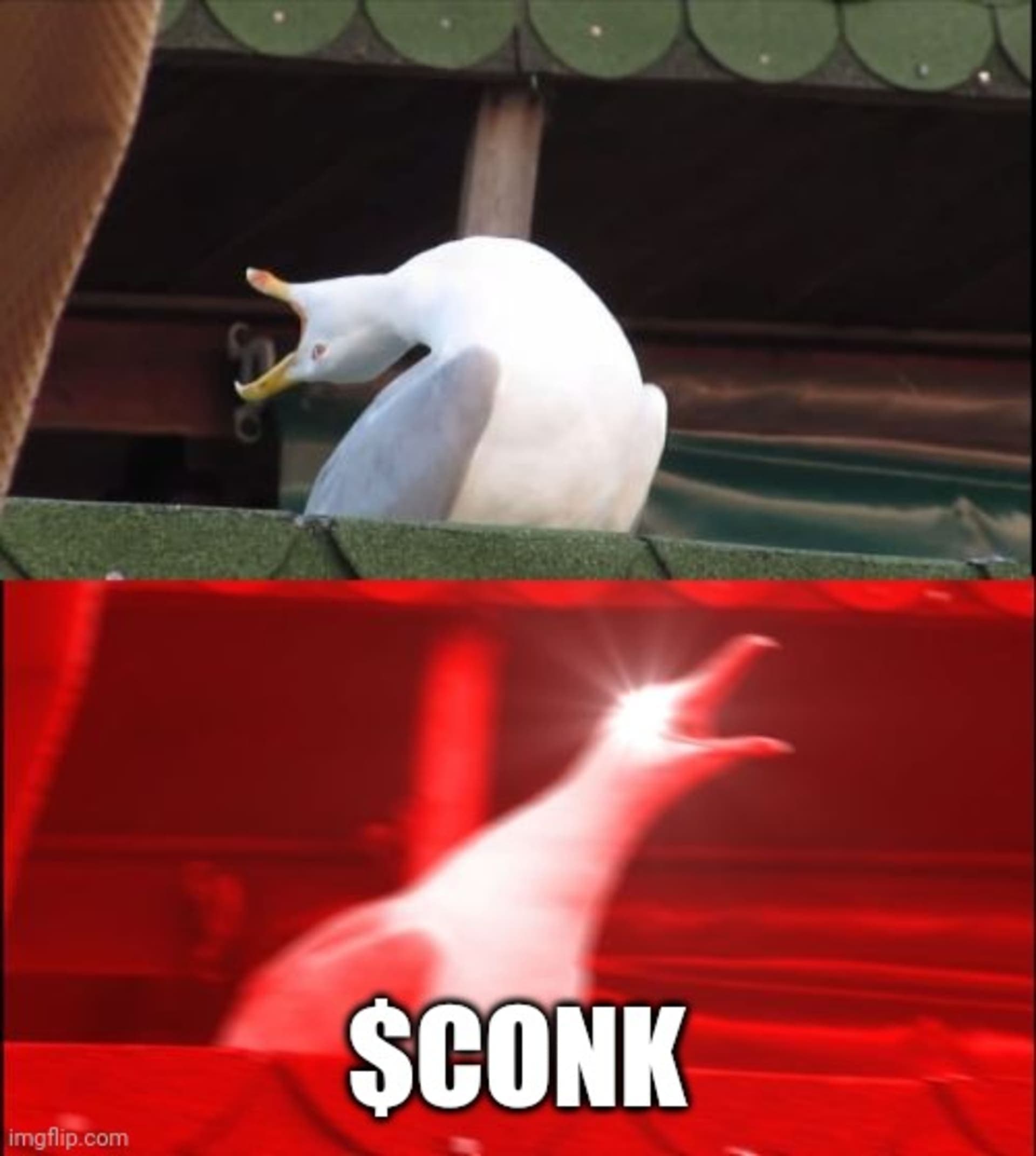 CONK Memes