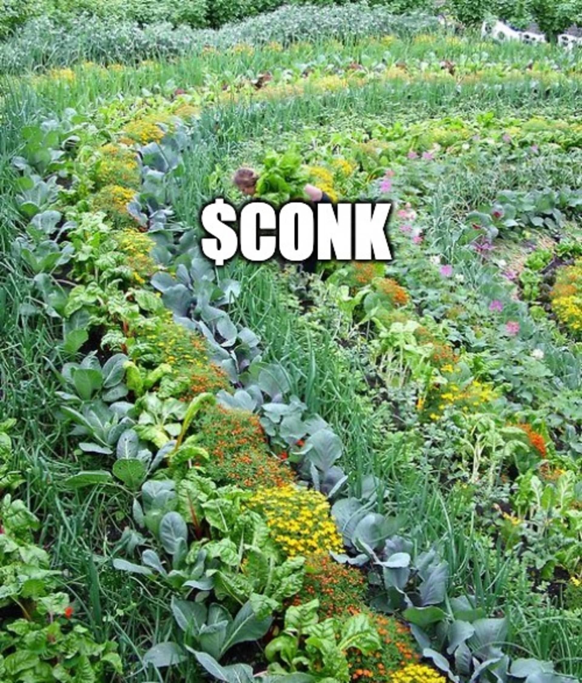 CONK Memes