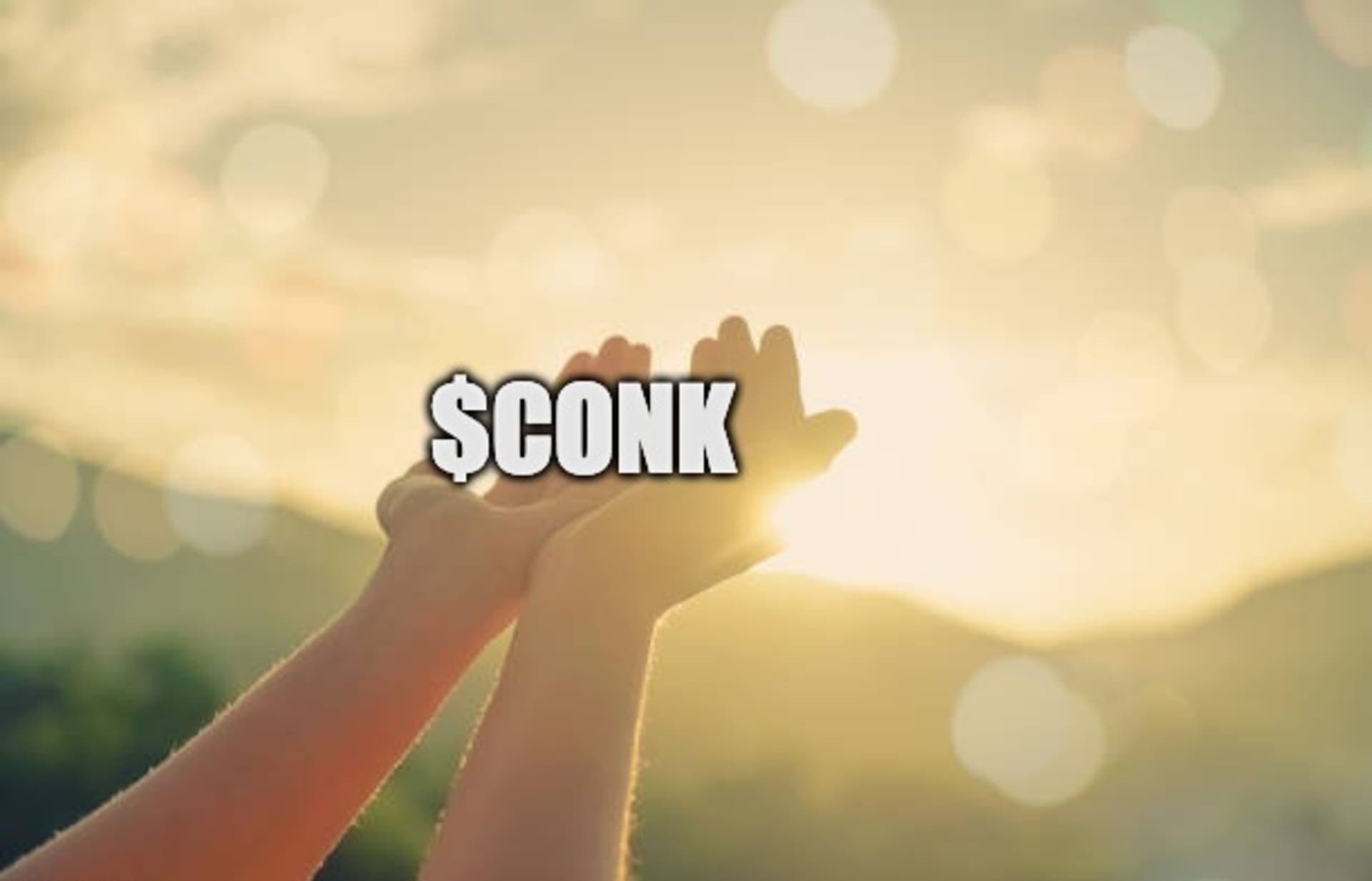 CONK Memes