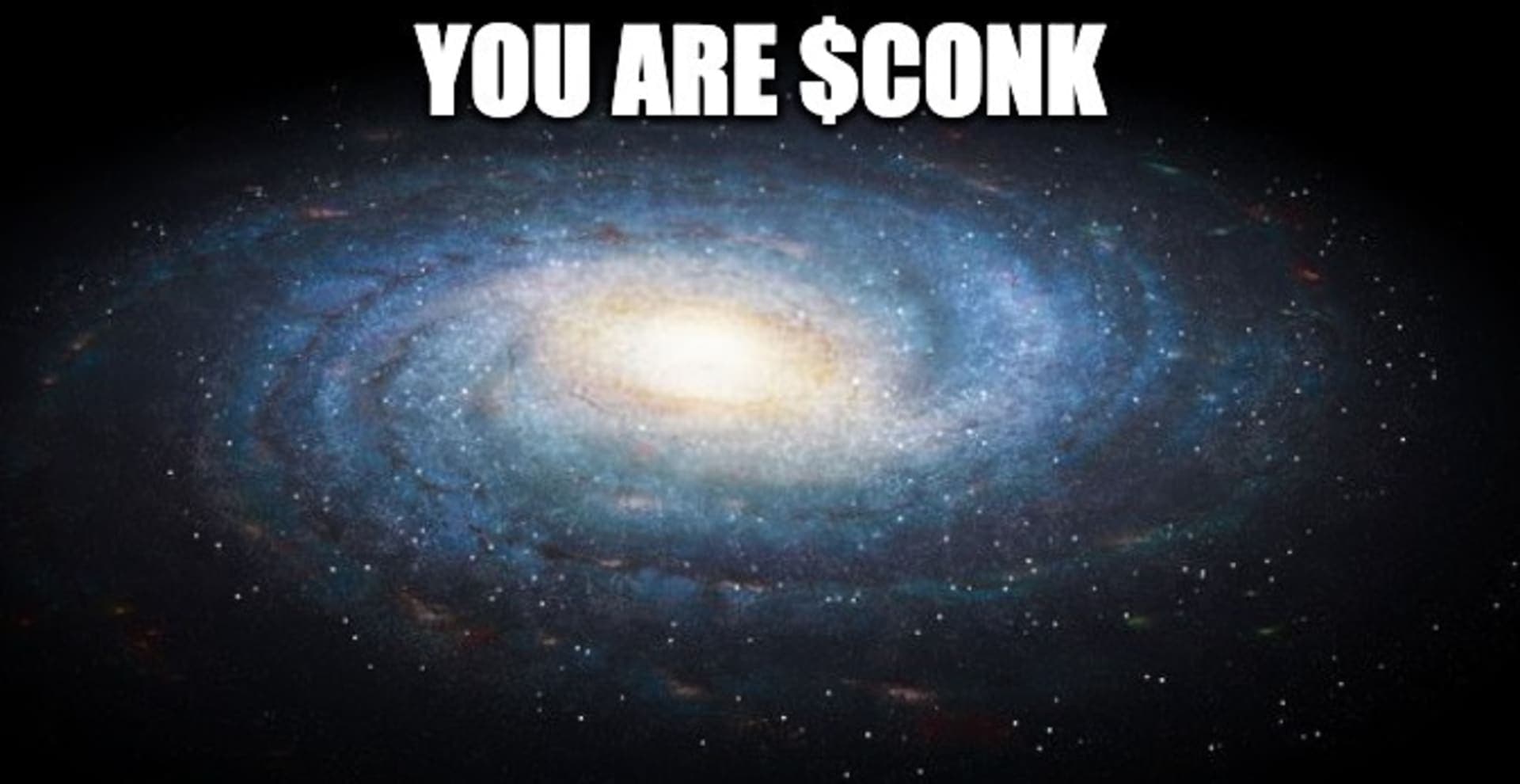 CONK Memes