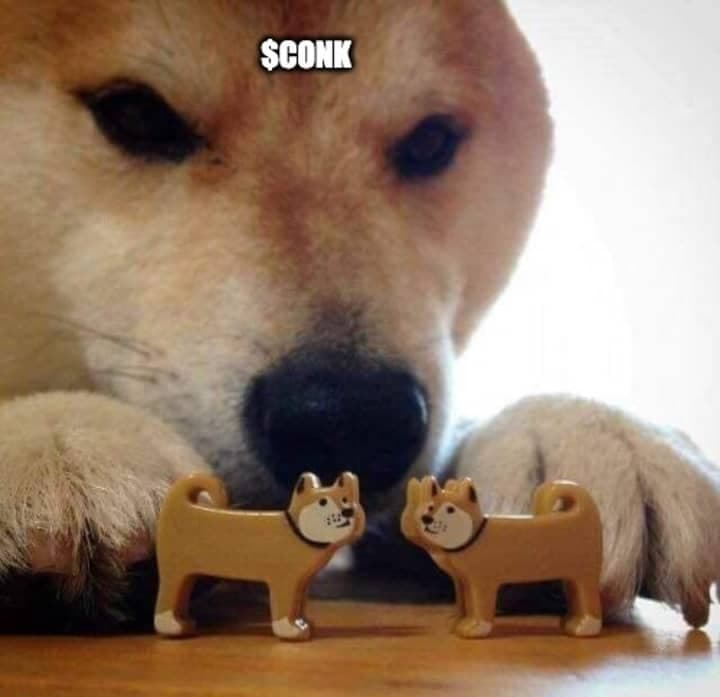 ShibaPoconk - CONK Memes